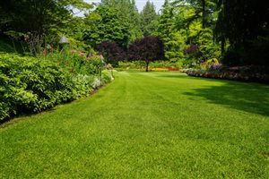 How to Level a Lumpy Lawn