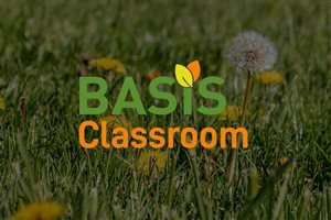 Online Training Helps Amenity Professionals Deliver on UK National Action Plan