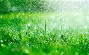 The UKLCA Guide To Lawn Watering