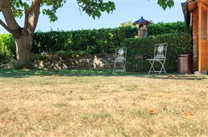 How To Help Your Lawn Recover From Drought
