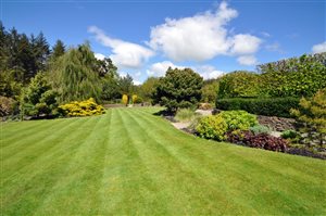 5 Simple Ways To Make Lawn Care Easier